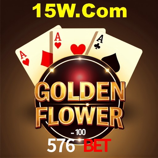 Interface Premium 576 Bet